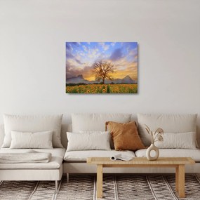Sklenený obraz - Krajina so slnečnicami (70x50 cm)