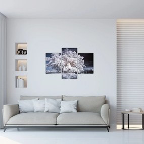Obraz - Snehobiely strom (90x60 cm)