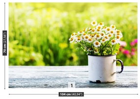 Fototapeta Vliesová Kvety sedmokrásky 250x104 cm
