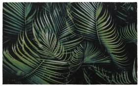 Rohožka 50x80 palma 31 01060103