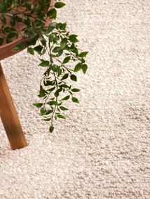 Ted Baker, Kusový koberec Ted Baker Notting Hill 106343 Cream Beige, 160x230, béžová, obývacia izba