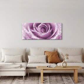 Obraz detailu kvetu ruže (120x50 cm)