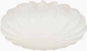 Stropné svietidlo Florenzo