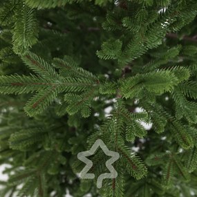Smrek Natura 100% 180 cm