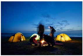 Grand Canyon Kupolový stan Topeka (Blue Grass, 4 osoby)  (100343460)