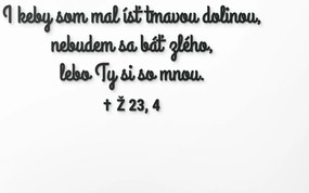 drevko Citát na stenu I keby som mal ísť tmavou dolinou Rozmer obrazu: 36 x 85,5 cm, Farba dekorácie: Čierna