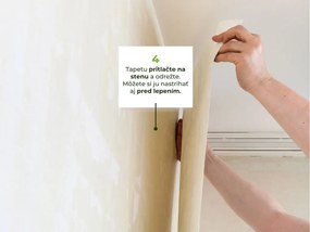 Veľkoplošná tapeta mural LES do detskej izby