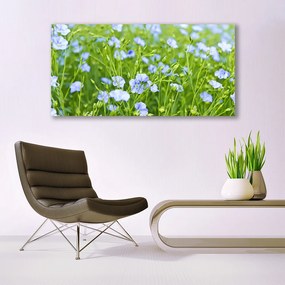 Obraz na akrylátovom skle Kvety tráva rastlina príroda 120x60 cm
