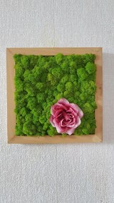 Machový obraz s kvetom ruže 40cm x 40cm