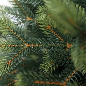 Smrek Kvitnúci extra hustý 240 cm