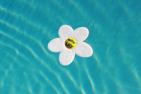 Absorpční houbička na mastnoty Water Lily (1 balení = 6ks)