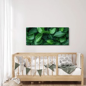 Obraz - Zelené listy (120x50 cm)