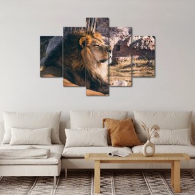 Obraz ležiaceho leva (150x105 cm)