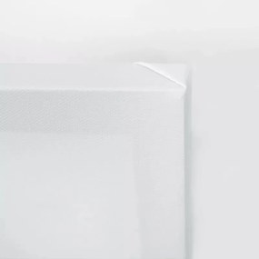 Gario Obraz na plátne Orientálny žeriav vo vode Rozmery: 60 x 40 cm