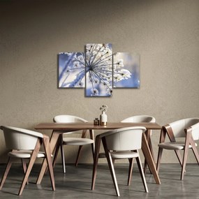 Obraz - Zamrznutý kvet (90x60 cm)