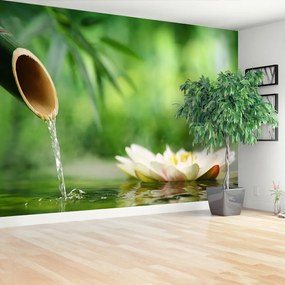 Fototapeta Vliesová Bambusová fontána 416x254 cm