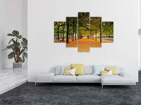 Obraz aleje jesenných stromov (150x105 cm)