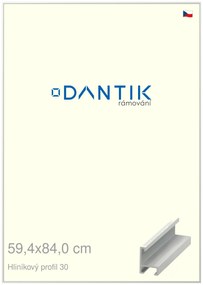 DANTIK rám na obraz 59,4x84 | ALU Bílá matná (Plexi Čiré)
