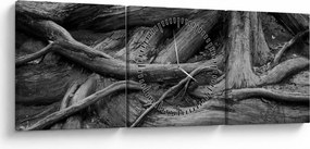 Obraz - Korene stromu (s hodinami) (90x30 cm)
