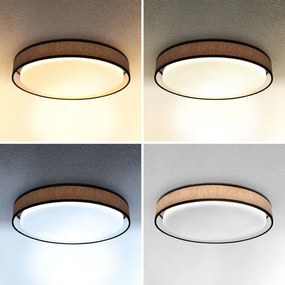 Brilagi - LED Stmievateľné stropné svietidlo PILAR LED/48W/230V 3000-6500K + DO