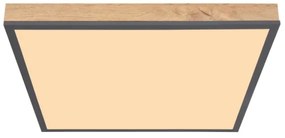 Globo 416080WD2 - LED Stropné svietidlo DORO LED/24W/230V