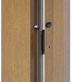 Kovové vchodové dvere P68 Artemida 90 P dub zlatý