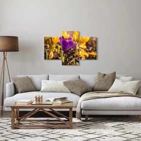 Obraz fialovej kvetiny (90x60 cm)