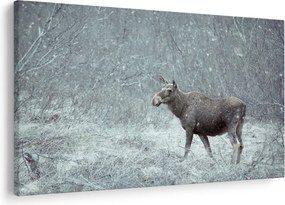 Obraz - Los v zasneženom lese (90x60 cm)