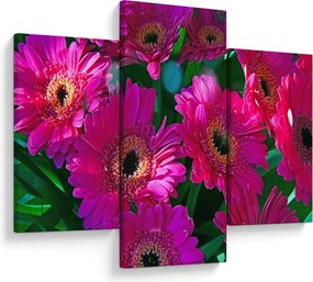 Obraz - kvety (90x60 cm)
