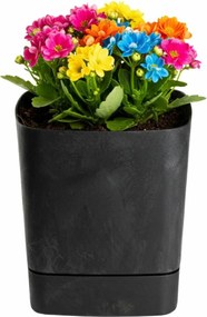 Plastový květináč s podmiskou Cubi 19x19 cm - výber z 6 prevedení