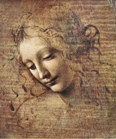 Leonardo da Vinci - Umelecká tlač Leonardo da Vinci - Hlava ženy, (35 x 40 cm)