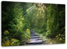 Obraz na plátně Lesní příroda Zelená krajina - 120x80 cm
