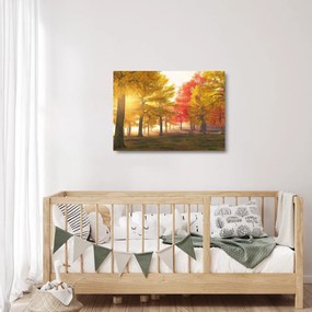 Sklenený obraz jesenných stromov (70x50 cm)