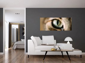 Obraz - Mačacie oko (120x50 cm)