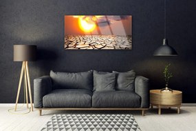 Obraz plexi Slnko púšť krajina 100x50 cm