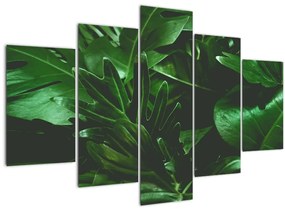 Obraz - Palmové listy (150x105 cm)