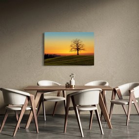 Obraz stromu na poli (90x60 cm)