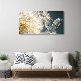 Obraz Canvas Púpava rastlina 125x50 cm