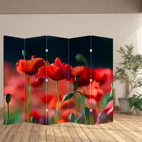 Paraván - Vlčie maky (210x170 cm)