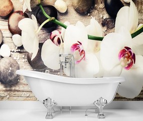 Gario Fototapeta Farebné zenové orchidey Materiál: Vliesová, Rozmery: 400 x 280 cm