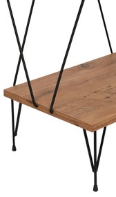 Knižnica Balaban Pine