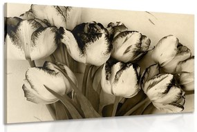 Obraz jarné tulipány v sépiovom prevedení - 120x80