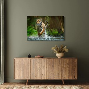 Obraz bežiaceho tigra (90x60 cm)