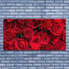 Obraz Canvas Červené ruže kvety príroda 140x70 cm