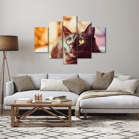 Obraz čiernej mačky (150x105 cm)
