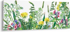 Obraz - Maľované lúčne kvety (120x50 cm)