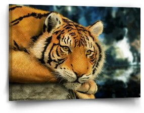 Sablio Obraz tiger - 90x60 cm