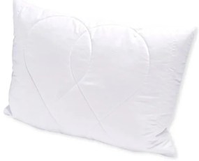 Brotex Vankúš Aloe vera 45x60 cm na zips