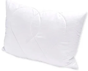 Brotex Vankúš Aloe vera 45x60 cm na zips