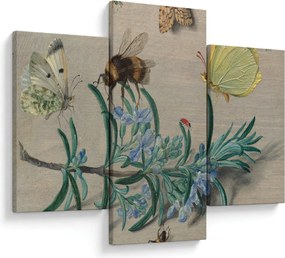 Obraz - Jan van Kessel the Elder, Insects and a Sprig of Rosemary, reprodukcia (90x60 cm)
